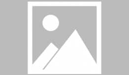 91直播91pp91,探索91pp91的独特魅力